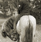 024 - Juni 2006