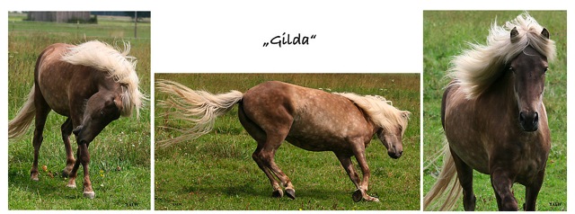 Loading Image