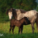 080 - Juni 2010 mit Kembingur