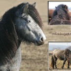 059 - Fr&uuml;hling 2010