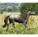 010 - Kaepa im Juli 08