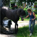 150 - Heimkehr im Juli 2013