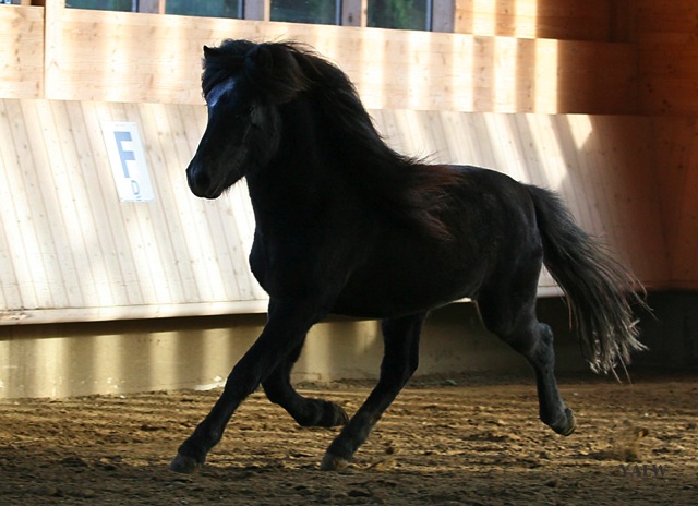 Loading Image