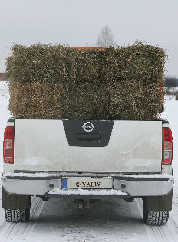 Loading Image