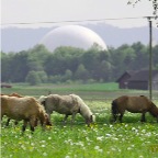 009 - Natur und Technik