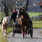 056 - Familienausflug