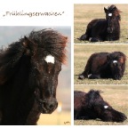 038 - ........eilt das Jahr, wir eilen mit.