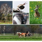 031 - alles wartet auf den Nachwuchs