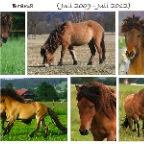 022 - Abschied von Brana