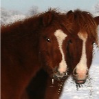 003 - unverkennbar: Mutter und Sohn