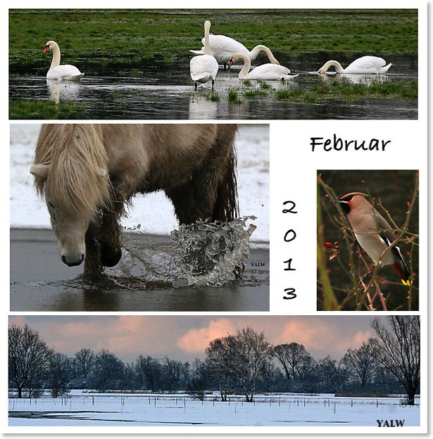 Februar2013a Kopie