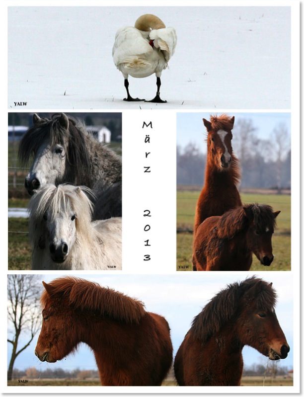 März2013b