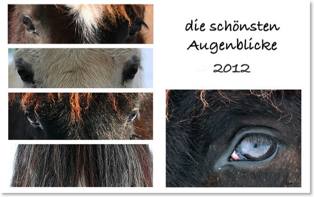 Schönste Augenblicke12