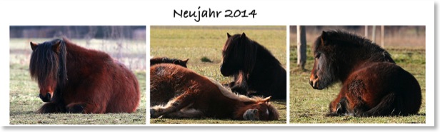 Neujahr2014a