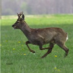 040 - Zeit für Überraschungen