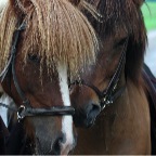 060 - Fina und Baldur
