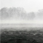 018 - morgens