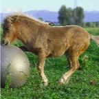 011 - Spielball ;-)