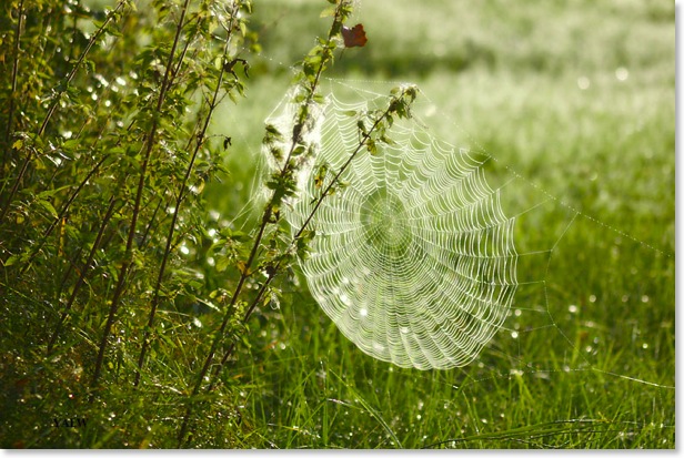 spätsommer140906