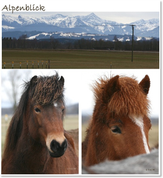 Alpenblick