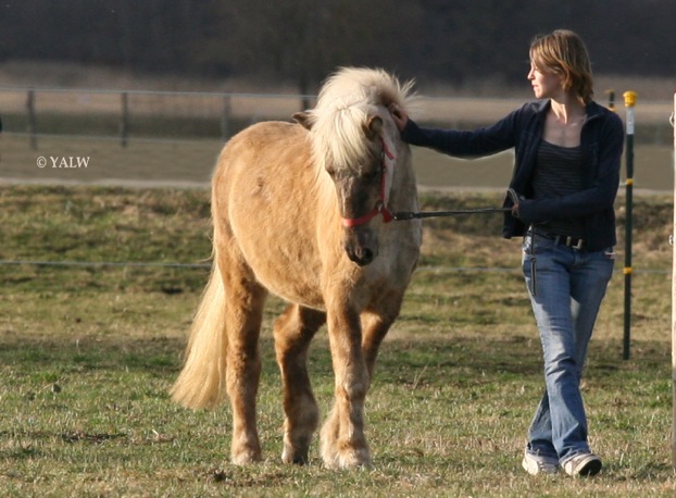 CaroGilda