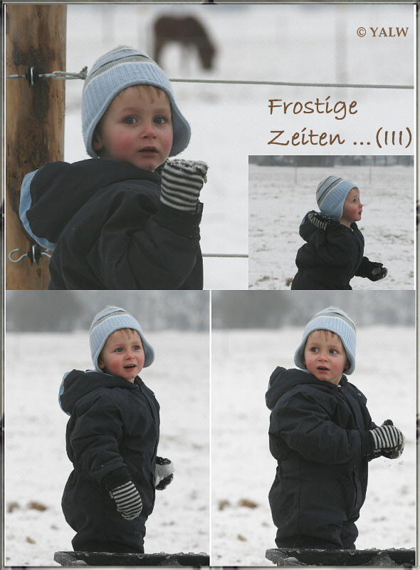 FrostigeZeitenPaddy