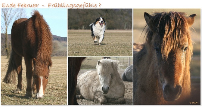 Frühlingsgefühle1
