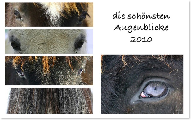 Schönste Augenblicke