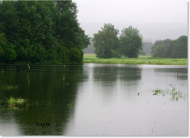 HeuflächeKoppeln3006