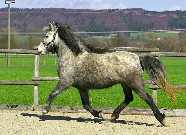 Loading Image