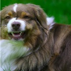 028 - Damenbesuch ;-)