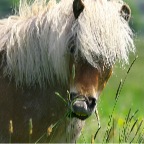 023 - Schlaraffenland