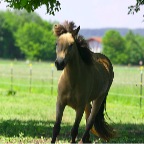 016 - schnell zurück in den Schatten