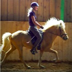 015 - Gullmóli bei Mira