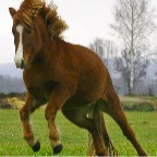 043 .... Brynja ;-)