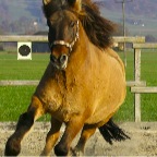 031 - Baldur