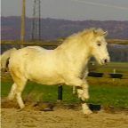 023 - Anlauf