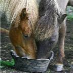 034 - ....kann man auch teilen.......