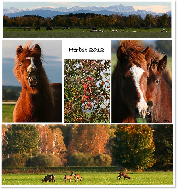 Herbst12012a