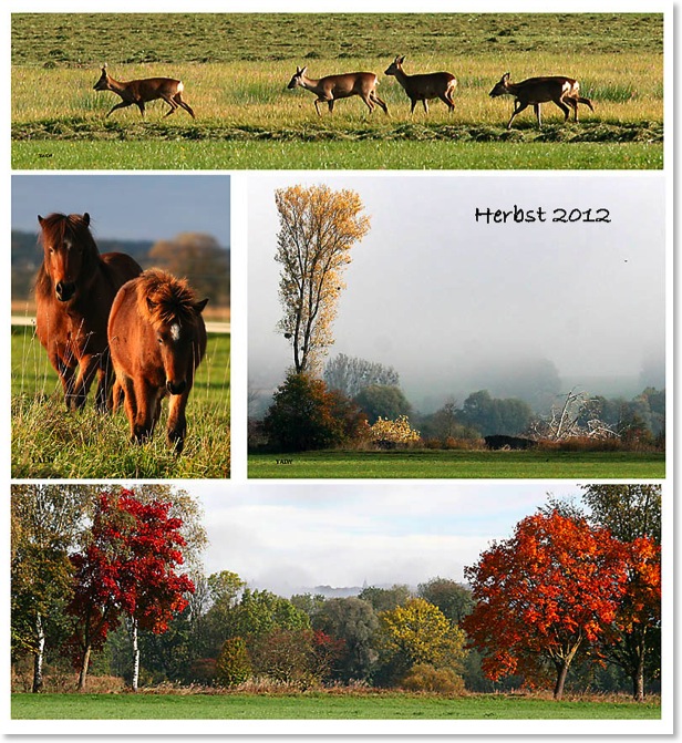 Herbst22012a