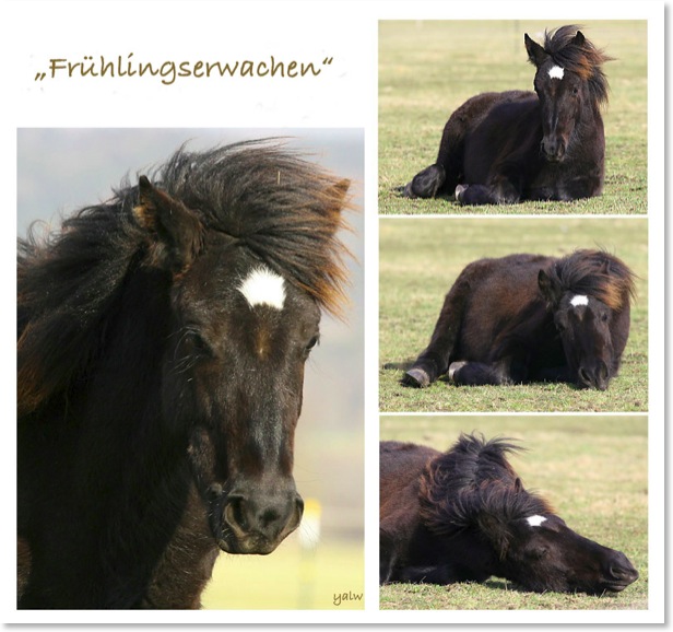 Frühlingserwachen