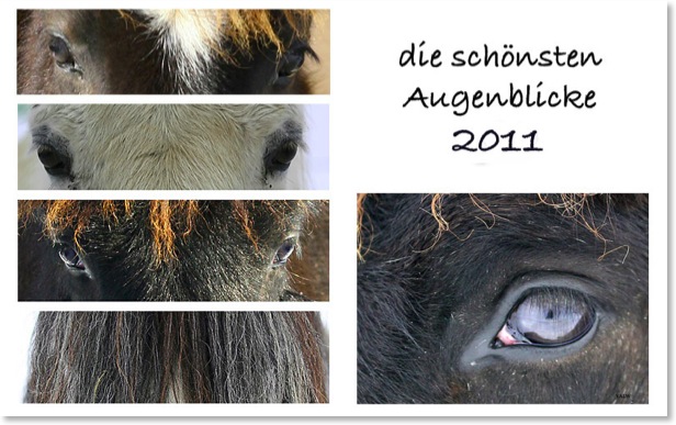 Schönste Augenblicke11